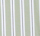 Elm Stripe
