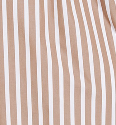 The Common Standard Poplin Stripe Shirt