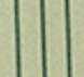 Sage Green-Stripe